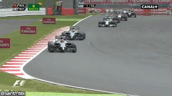 ShrillJauntyKingfisher