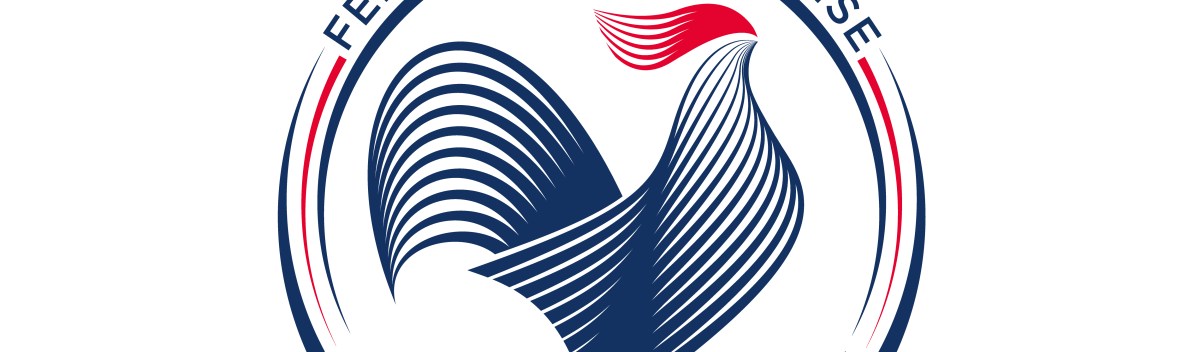 La Fédération Française des Sports de Glace fait peau&nbsp;neuve